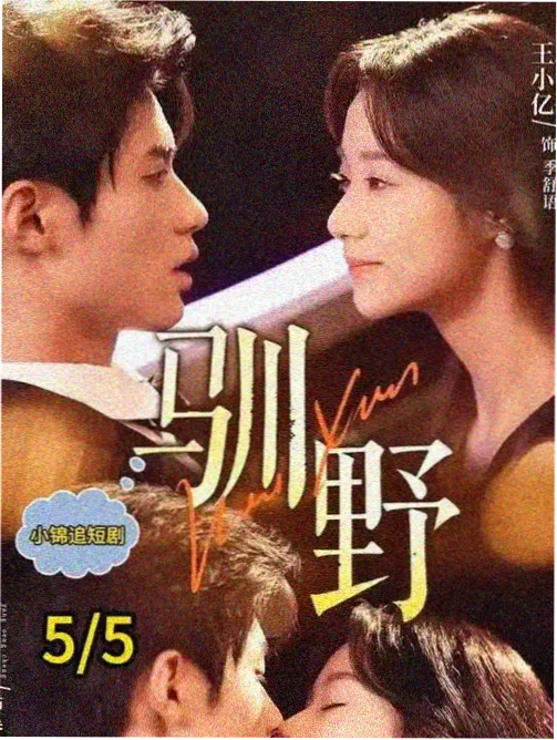 图鉴维护环节配图：术语卡片与索引标签